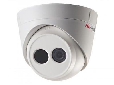 DS-I113 (4 mm)
