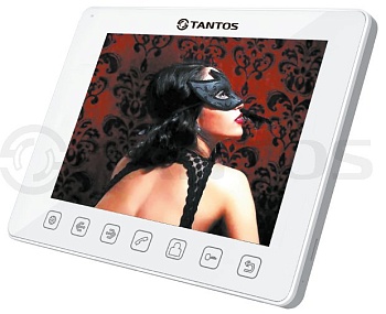 Tango (VZ или XL)